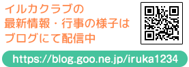 イルカクラブブログはこちらから
